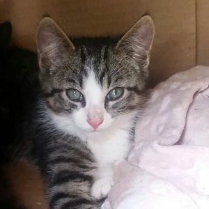 Meet your Posher, Shylynn